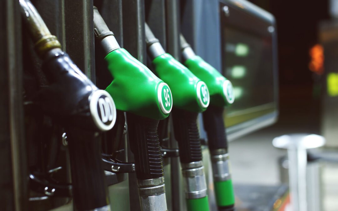 FAI TORINO: PIENO SOSTEGNO A INIZIATIVE FAI NAZIONALE E UNATRAS